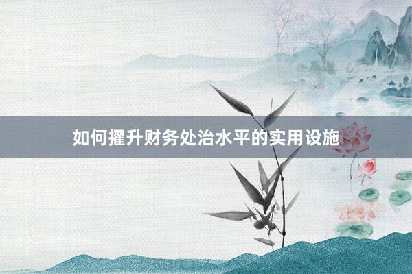 如何擢升财务处治水平的实用设施